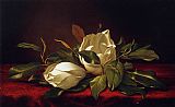 Martin Johnson Heade Famous Paintings - Magnoliae Grandeflorae
